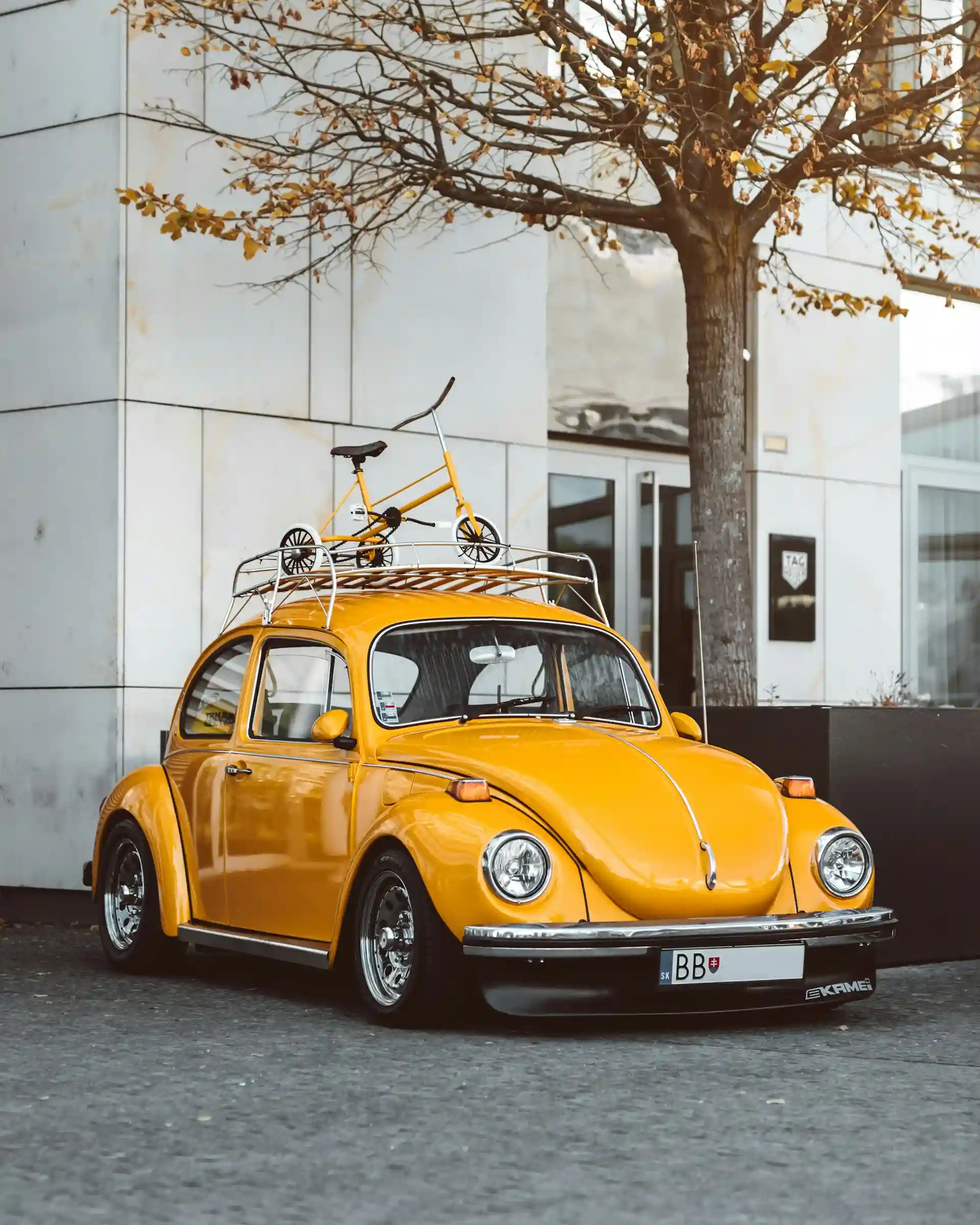 Vehicle Exterior